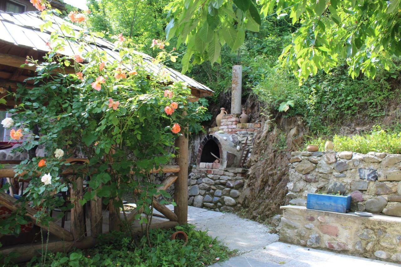 Nikala'S House Hotel Боржоми Екстериор снимка